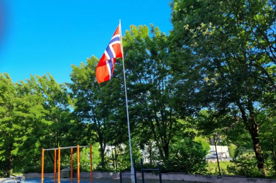 et flagg på en stang