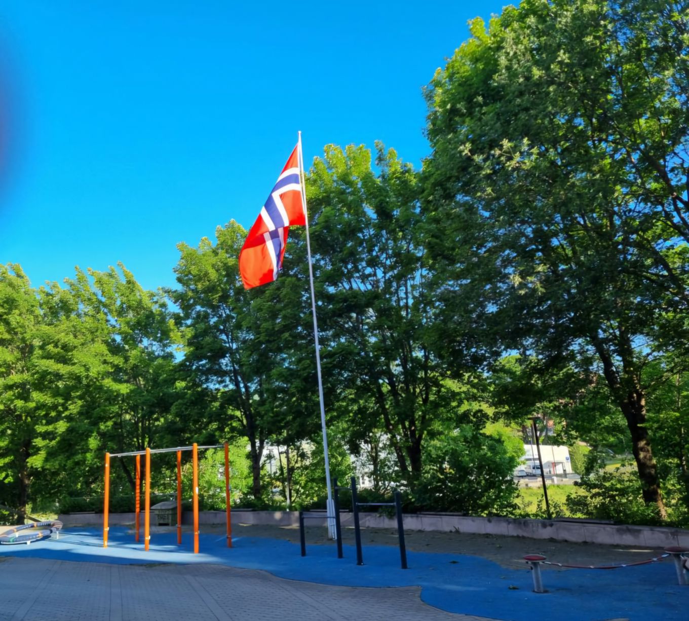 et flagg på en stang
