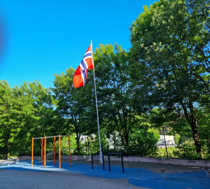 et flagg på en stang