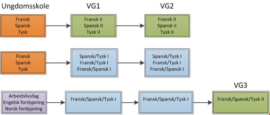 Språk på ungdomsskolen og videregående